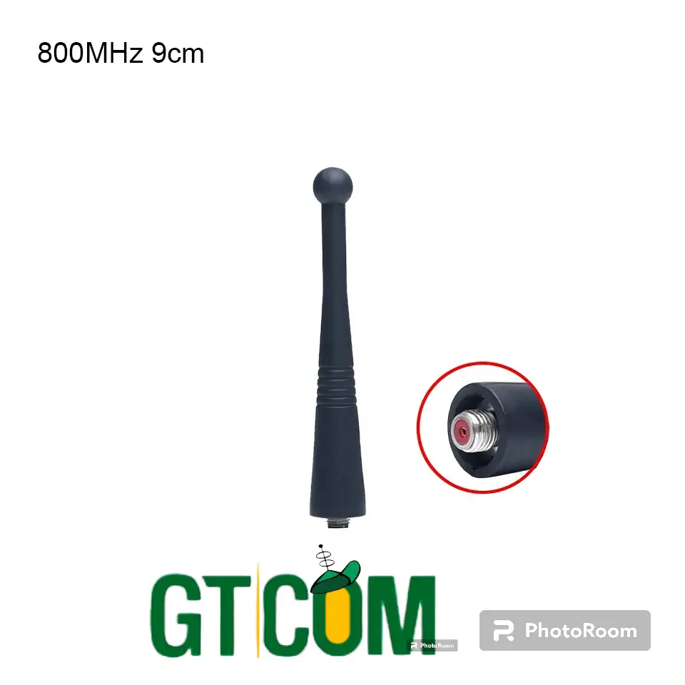 Antena rechoncha 