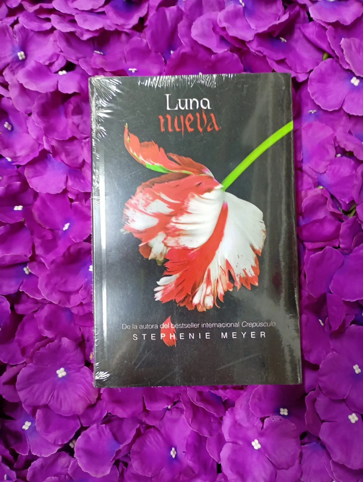 Luna nueva 