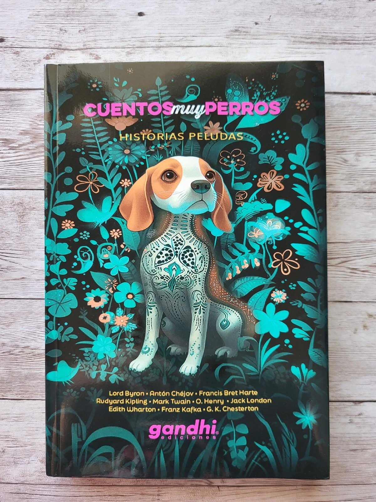 Cuentos muy perros / 