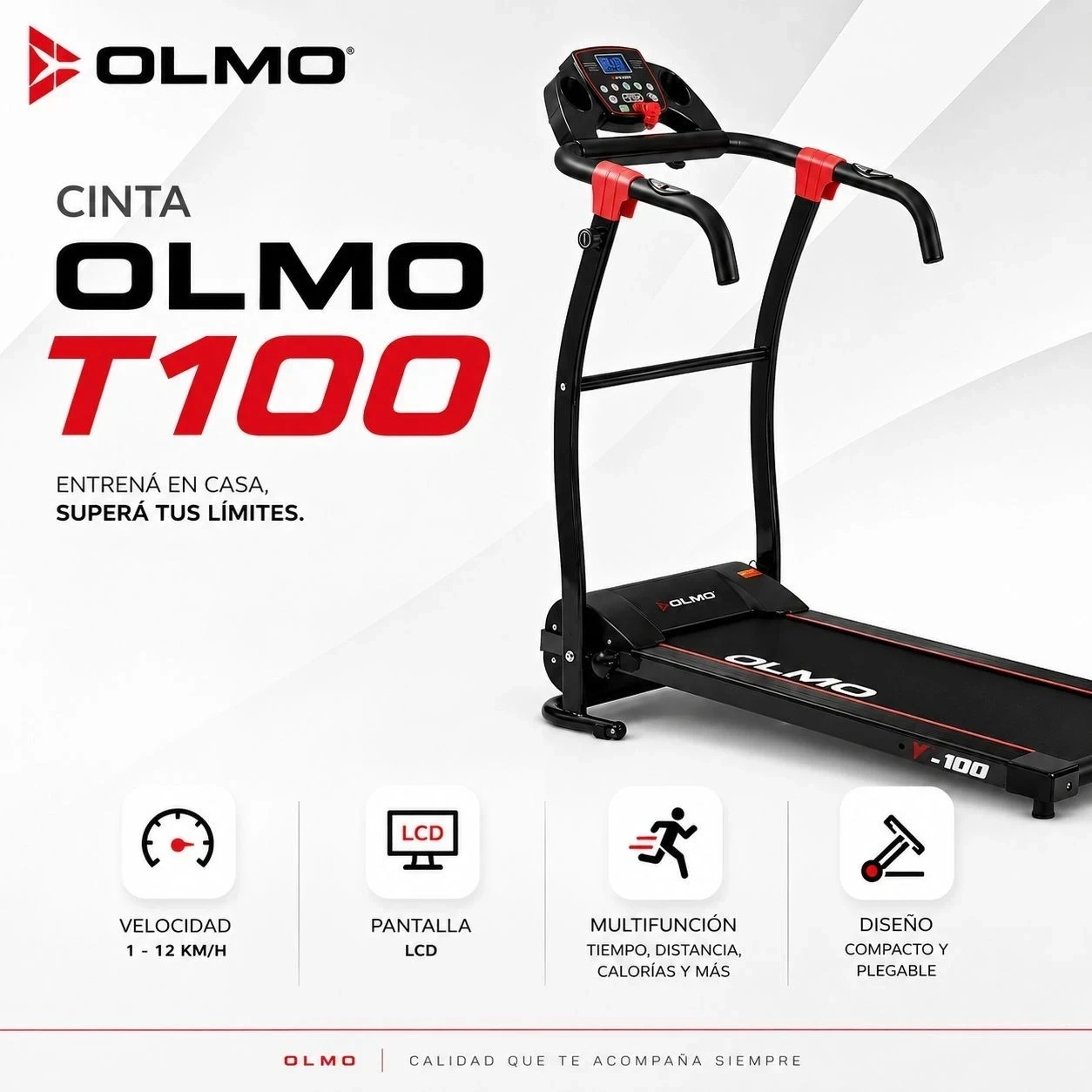 CINTA OLMO T-100