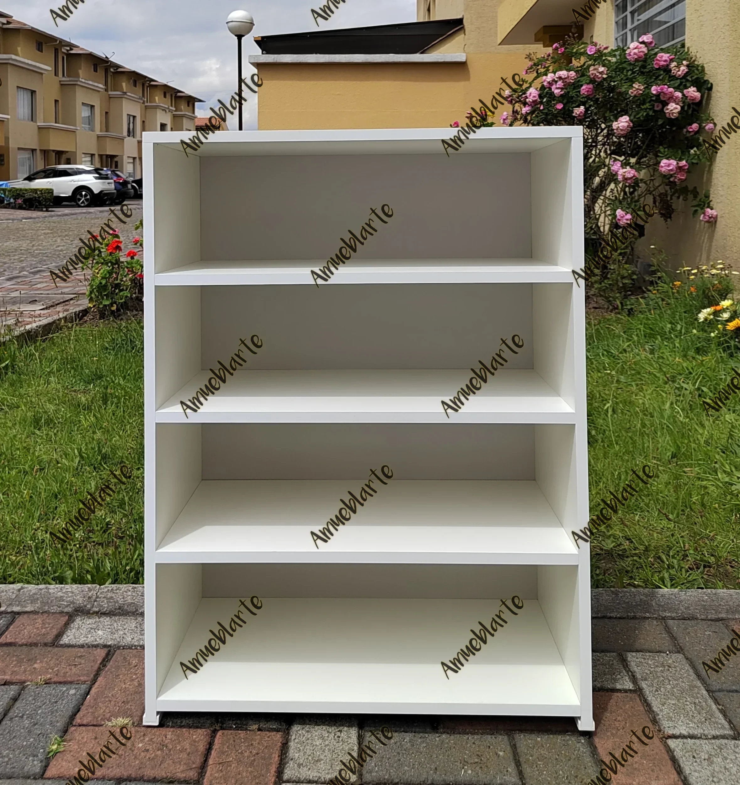 Zapatera Ottawa  2