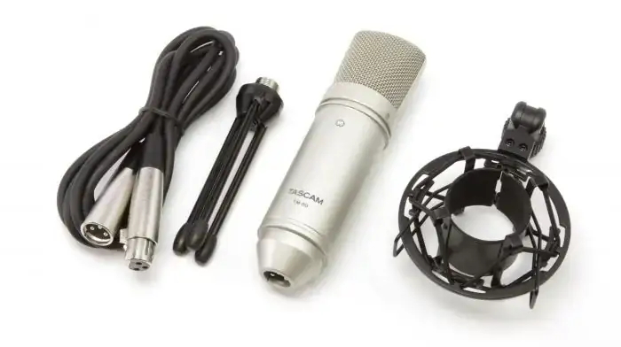 TASCAM MICRÓFONO DE ESTUDIO DE CONDENSADOR TM-80