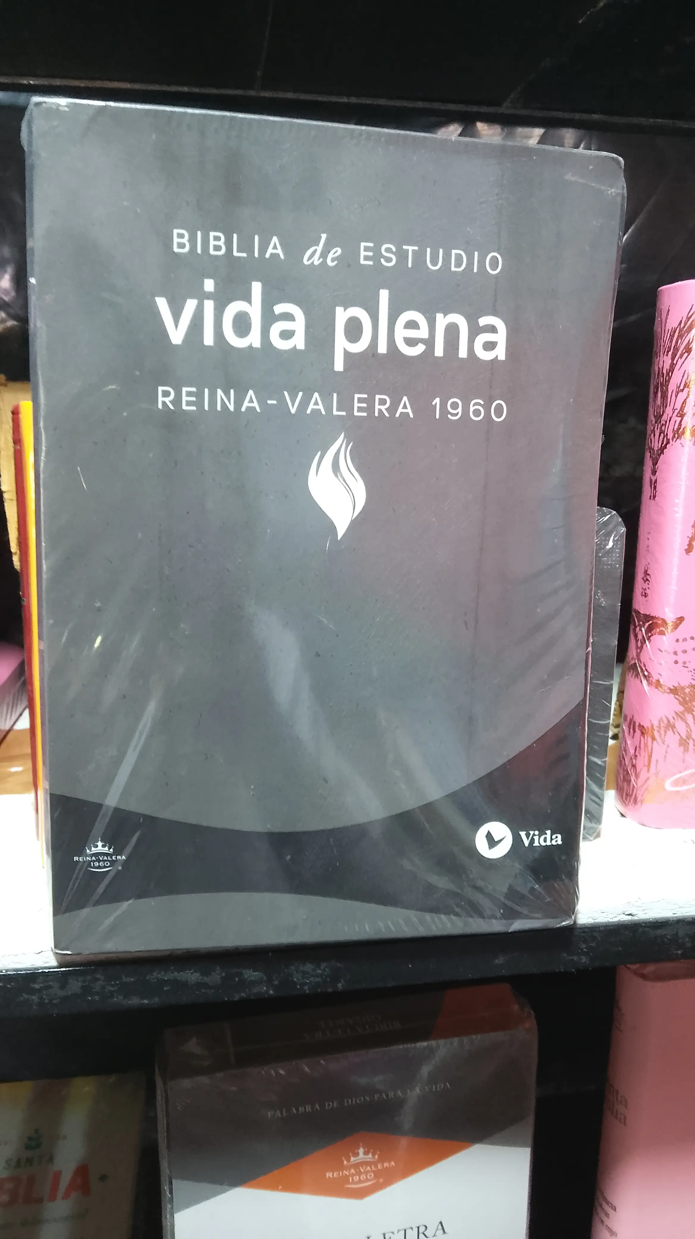 Biblia de estudio vida plena