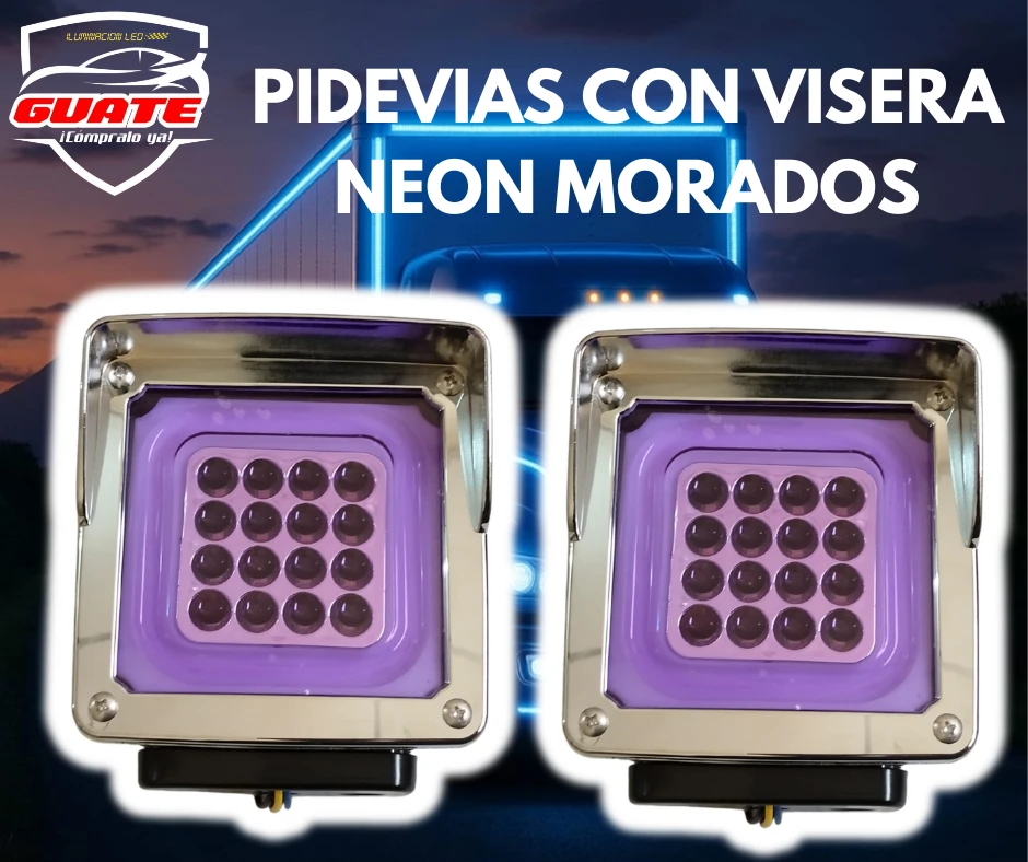 PIDE VIAS CON VISERA MORADOS