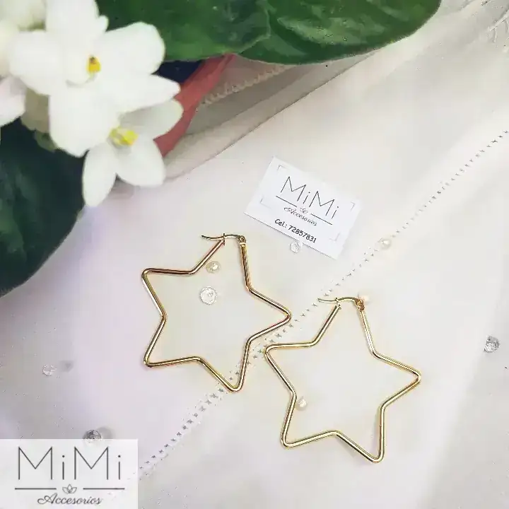 Aretes estrella en acero inoxidable 