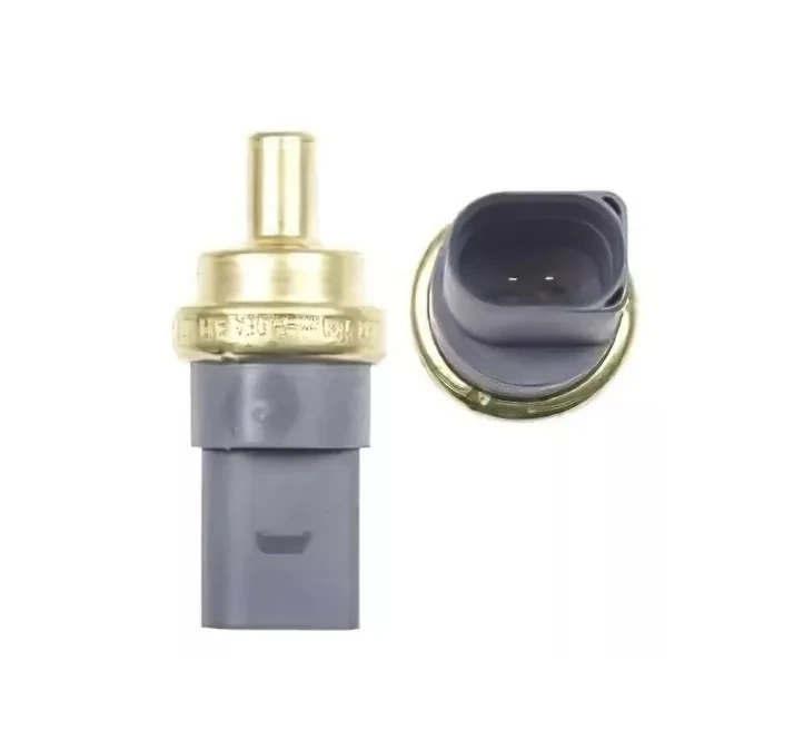 Sensor temperatura Vw / Audi 2