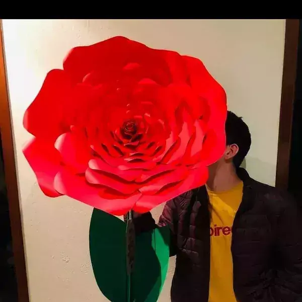 Rosa gigante 