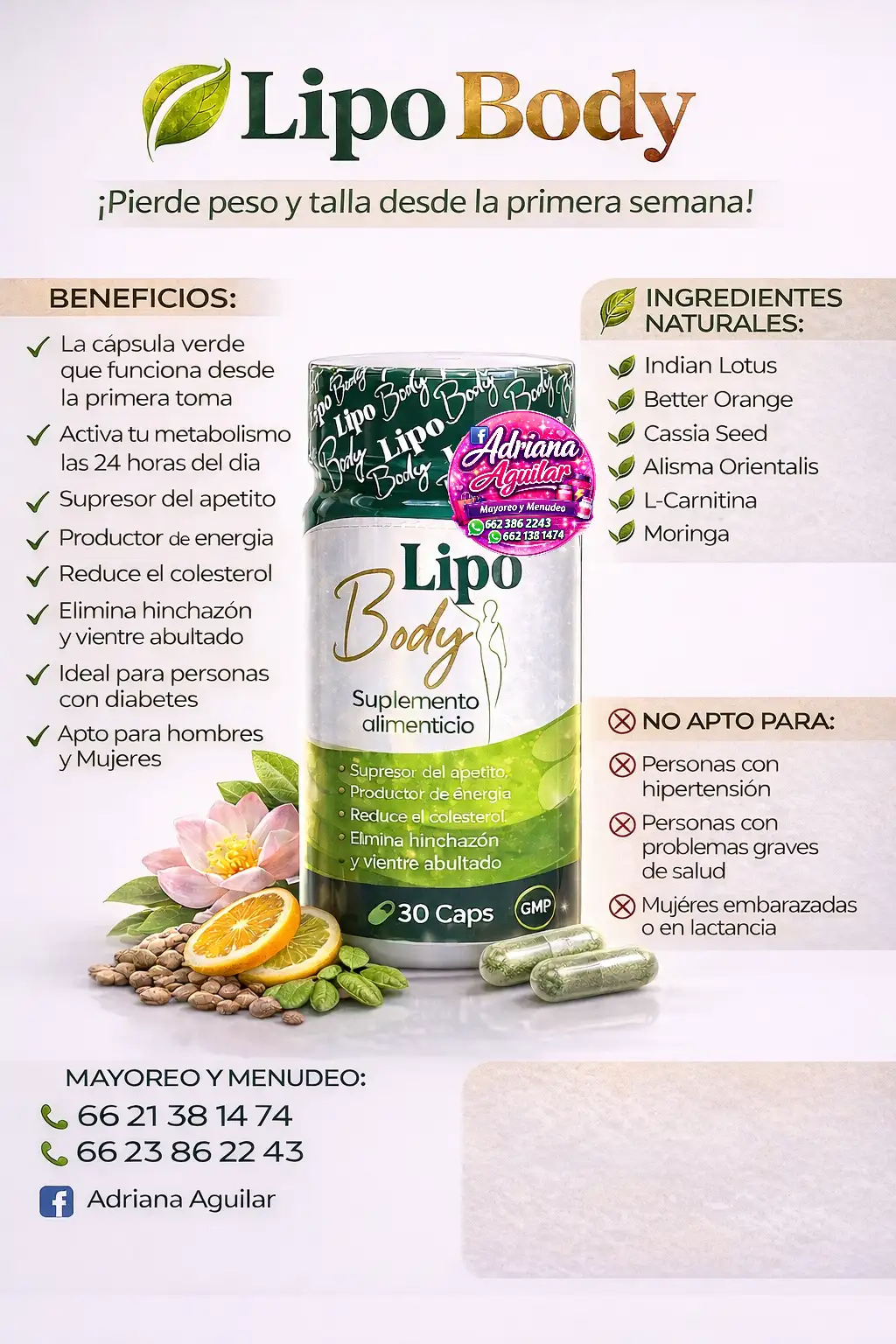 Lipobody 