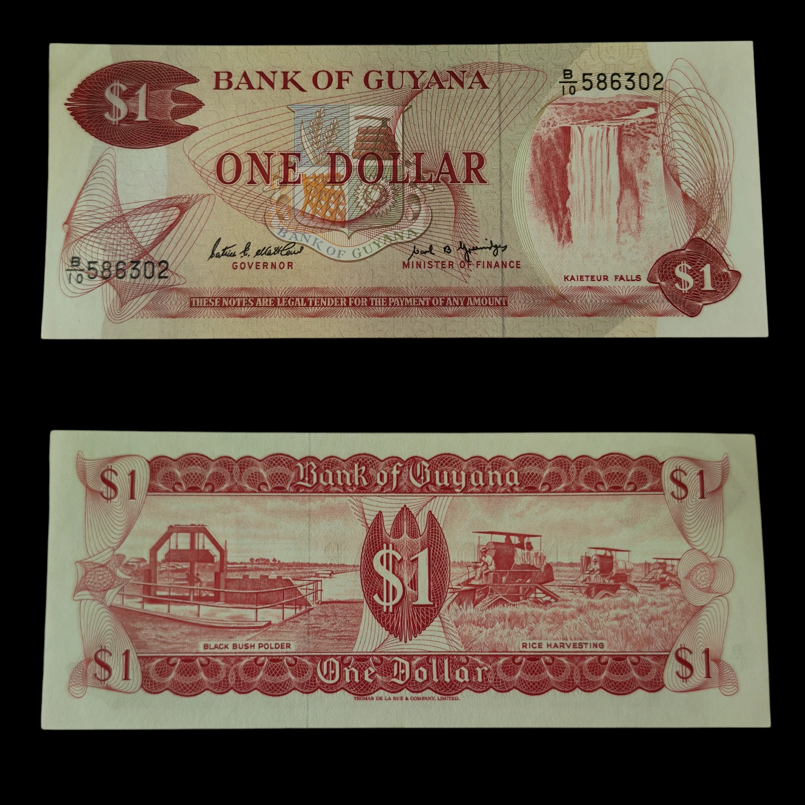 ° Guyana 1 dólar UNC