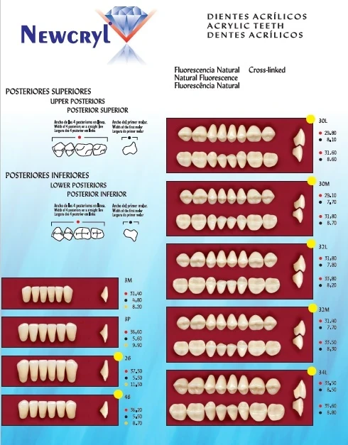 NEWCRYL TABLILLA DE DIENTES