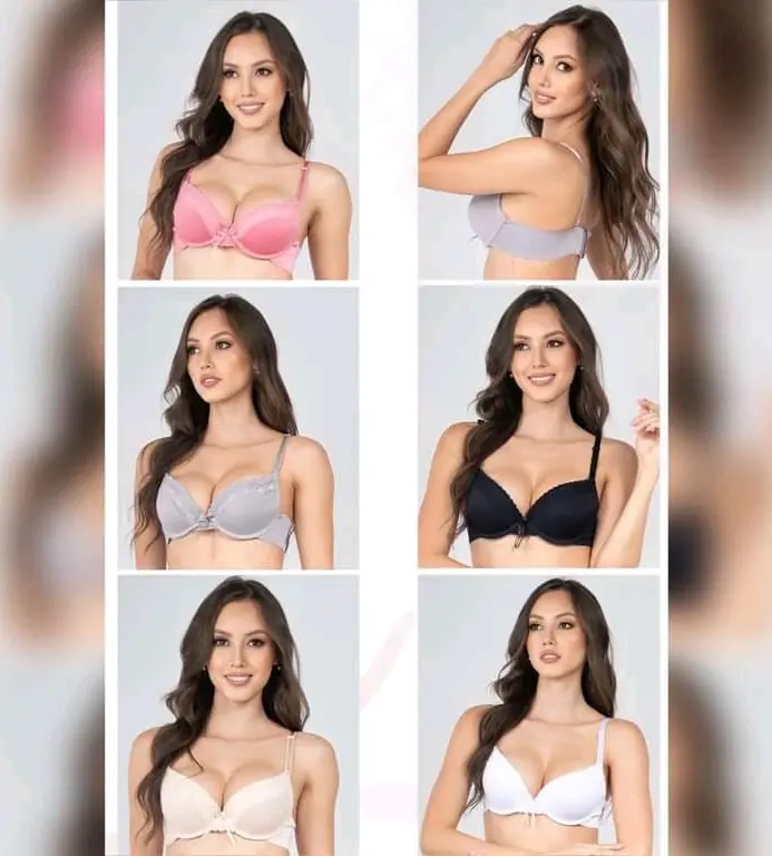 BRASIER  2