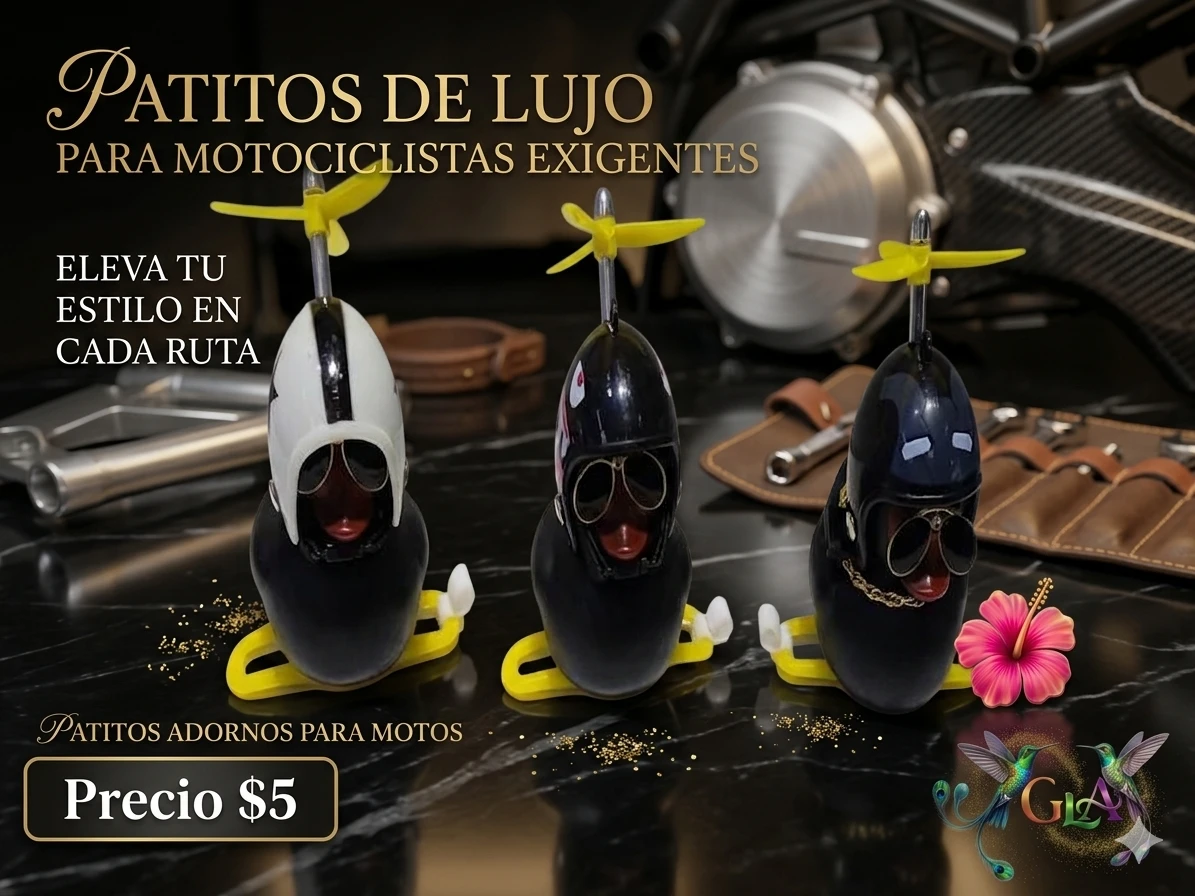 3 Adorno para moto 