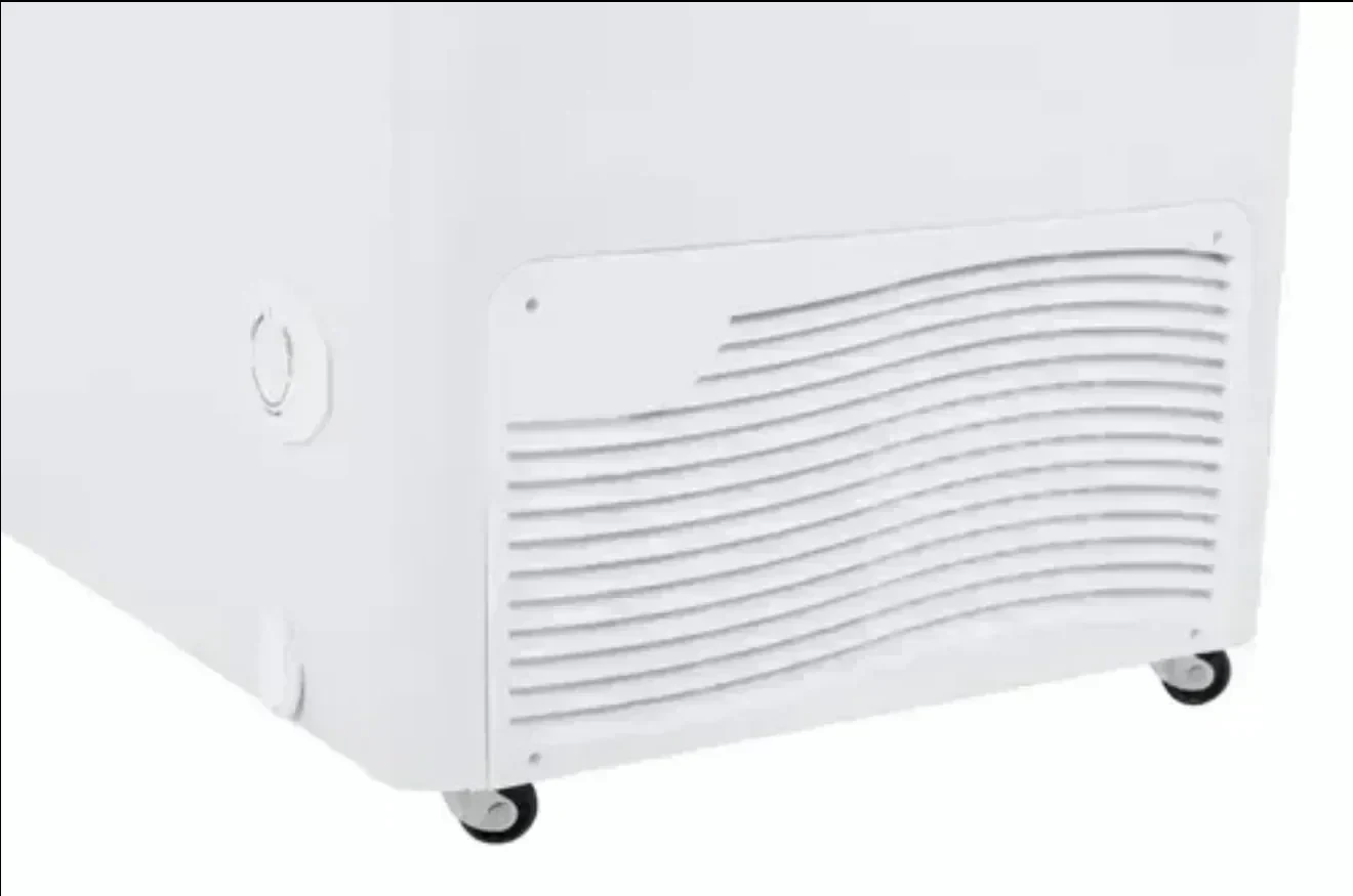 FREEZER GAFA L 2