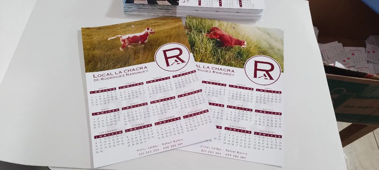 Calendario de pared pack por 100 unidades 