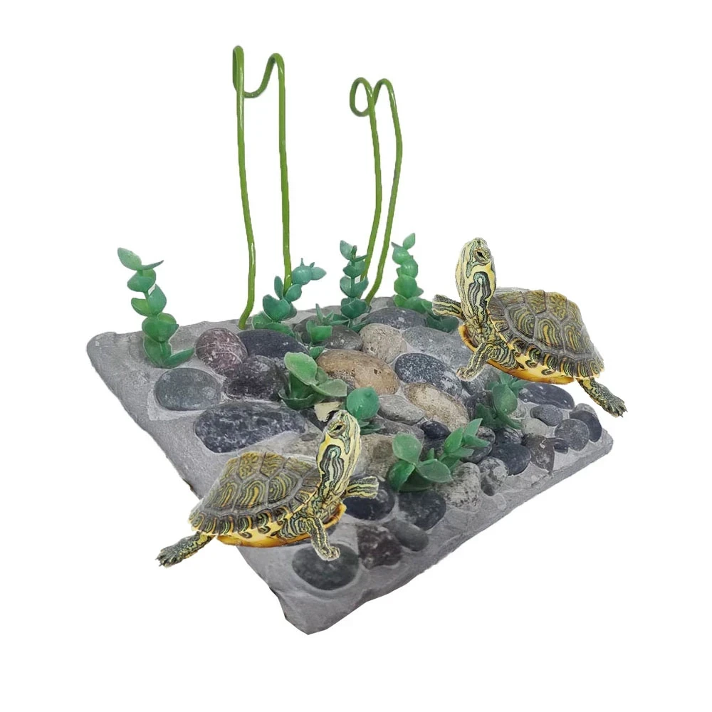 Isla Plaforma Colgante Rigida 18x14cm para Tortuga 