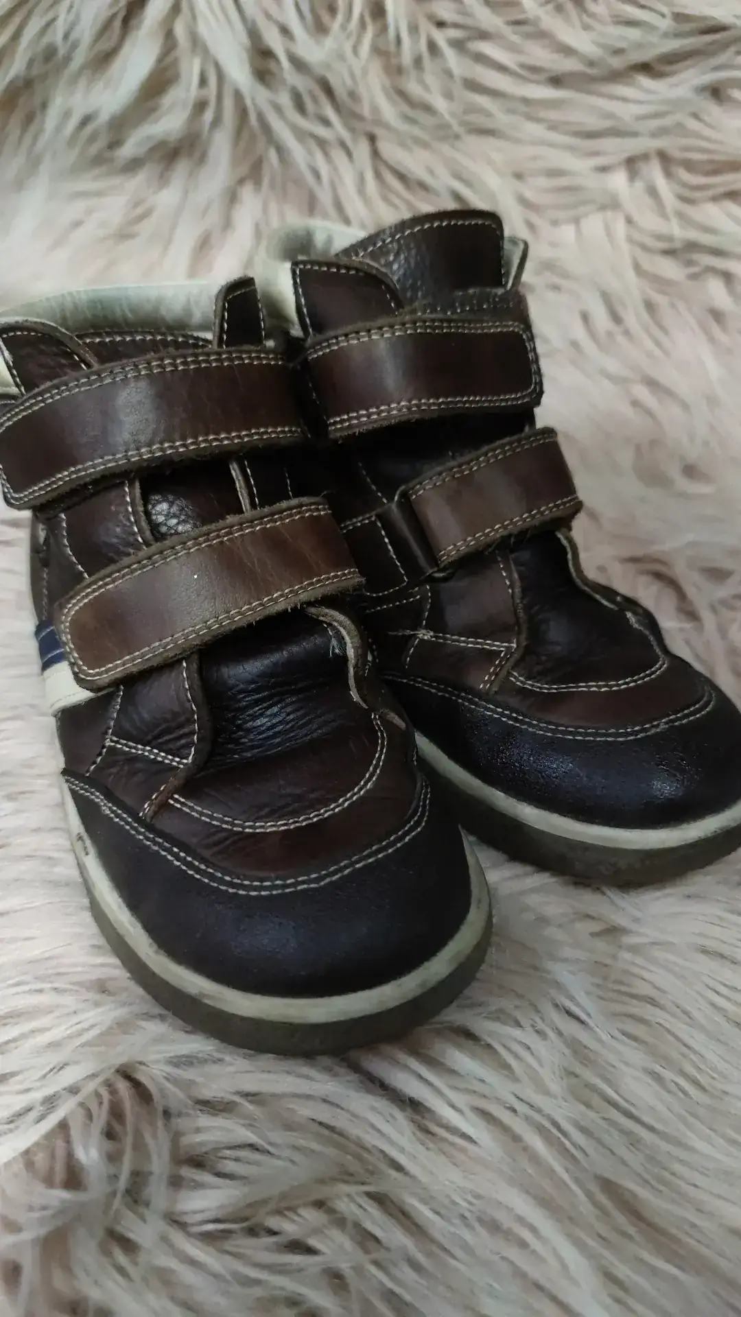 Botin N36  2