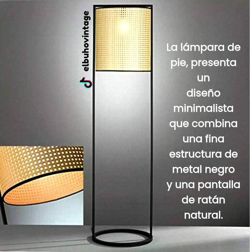 Lámpara de Pie 2