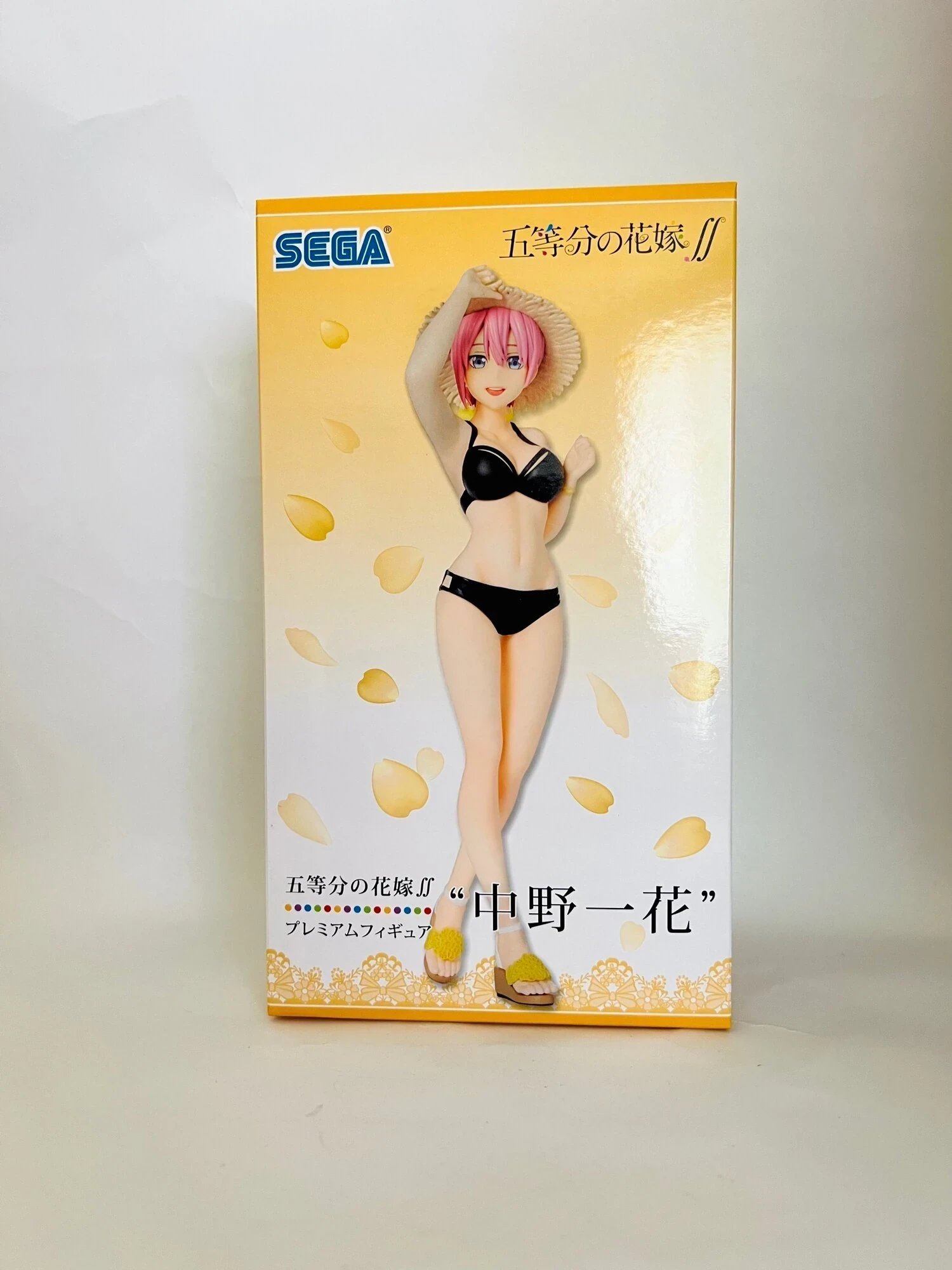 Ichika Swimsuit
