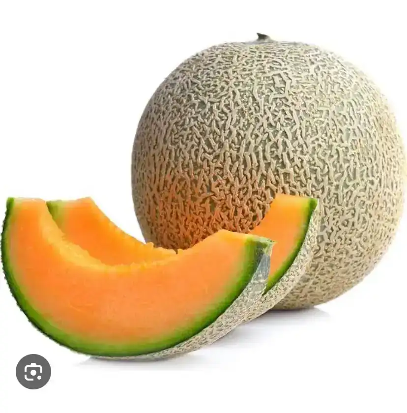 Melon chino 