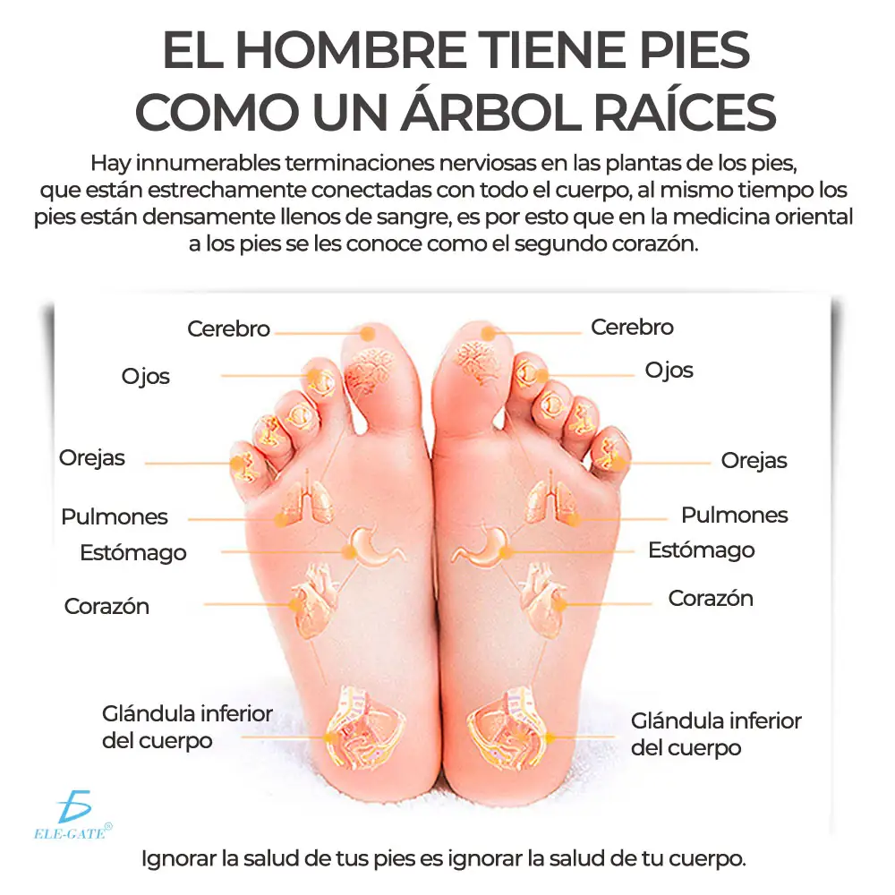 Masajeador Eléctrico Para Pies  3