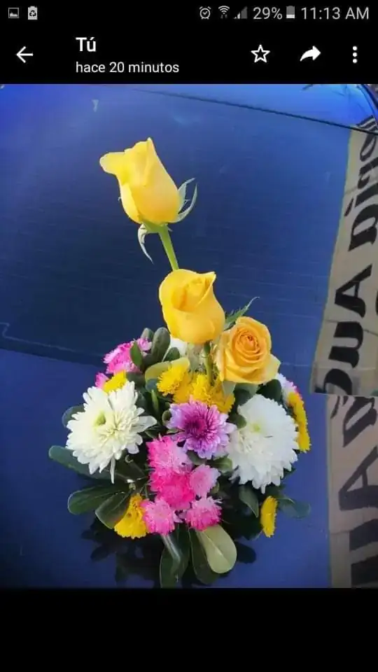 Trio de rosas  4
