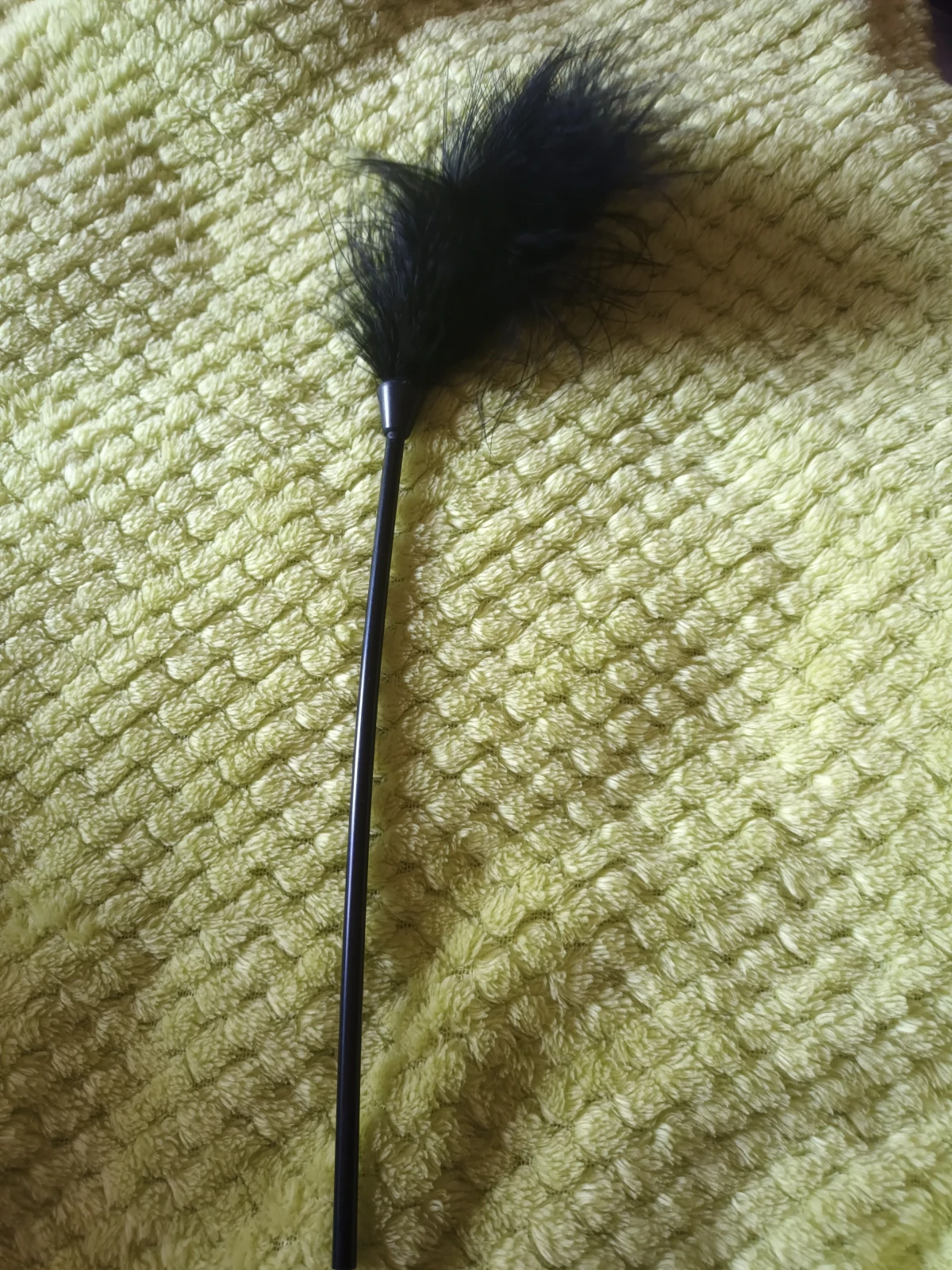 Latigo de plumas