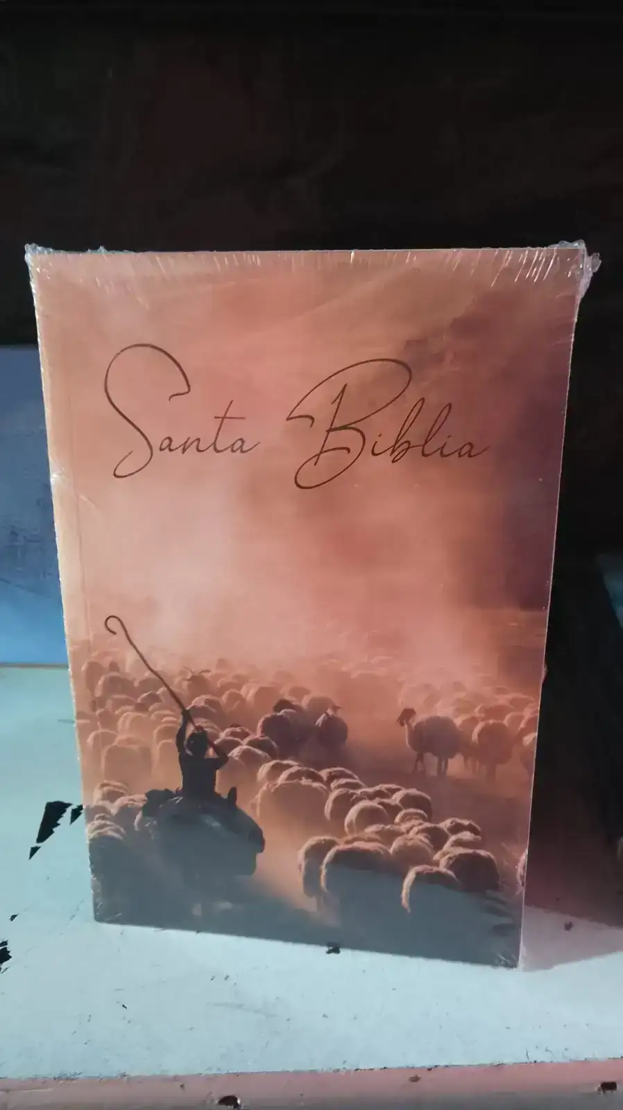 Biblia RV1960 tapa blands 2