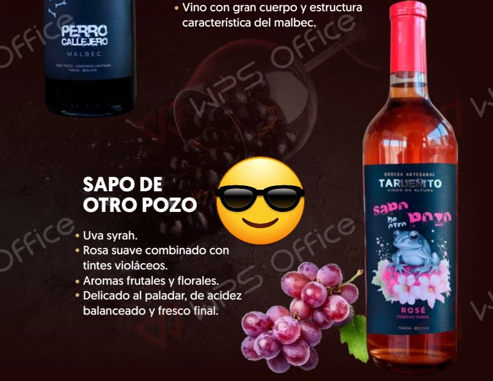 VINO SAPO DE OTRO POZO