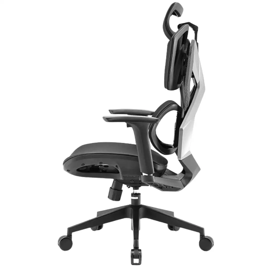 Silla ergonomíca 301  4