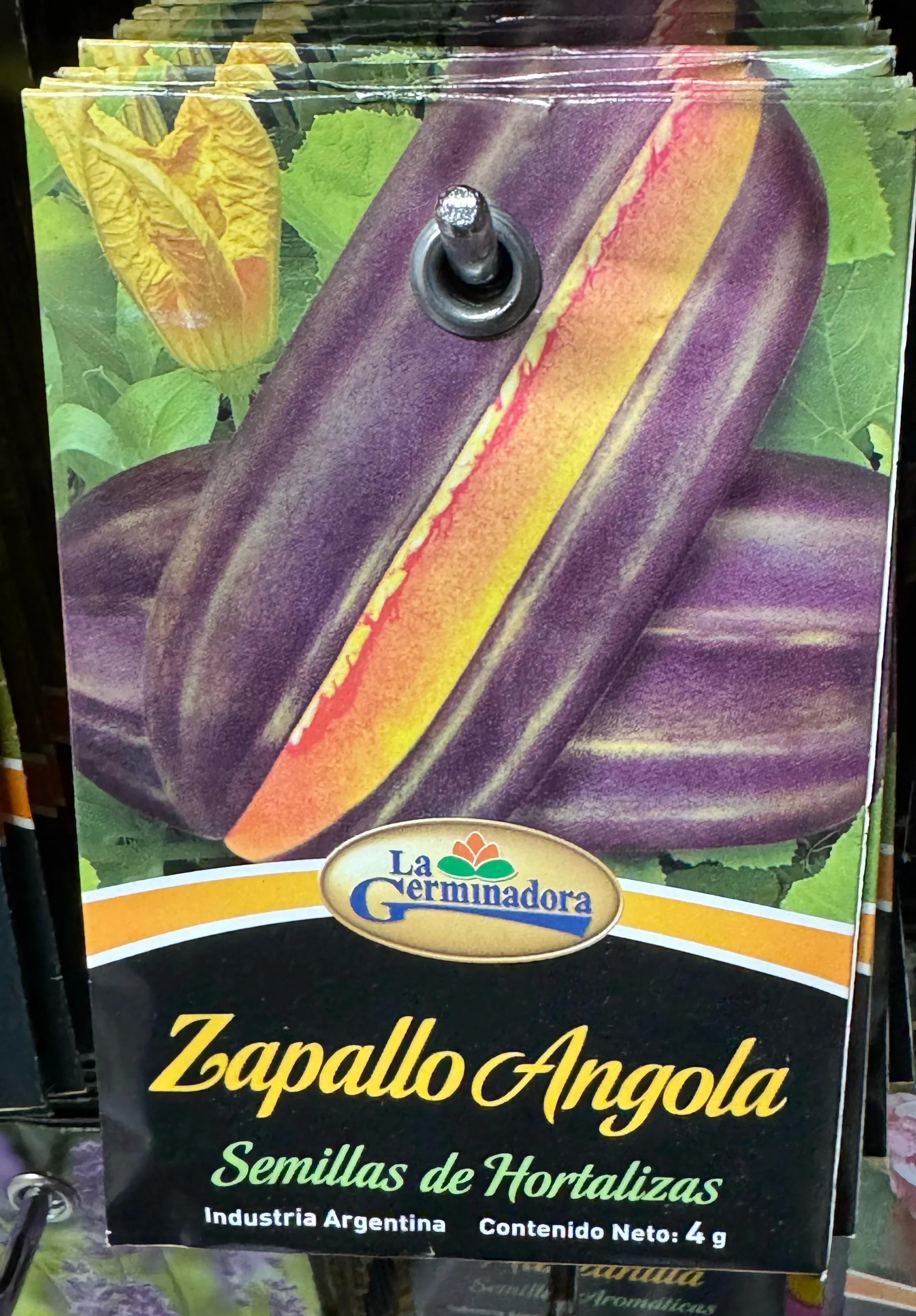 Semillas de zapallo Angola 