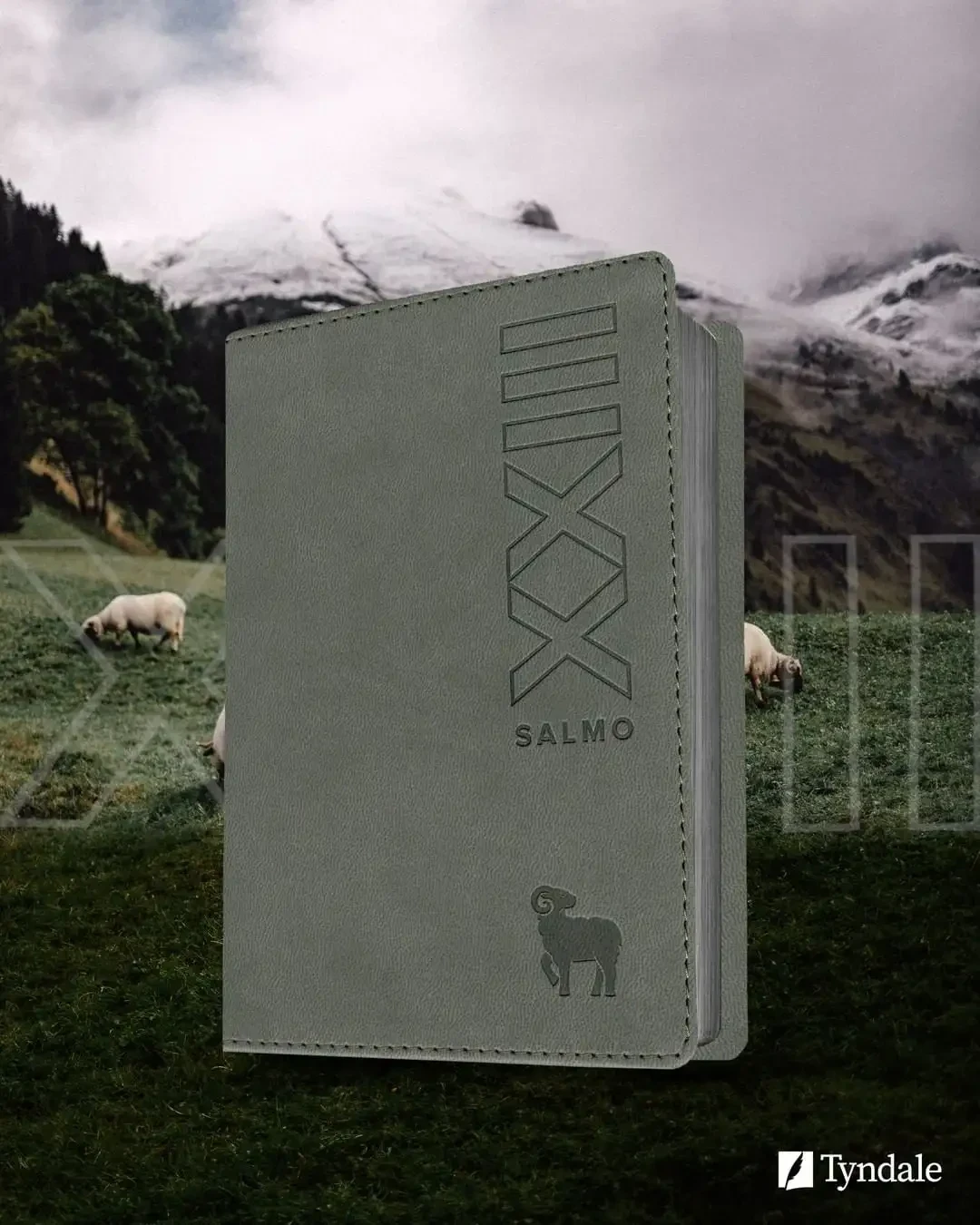 Biblia NTV compacta salmo 23