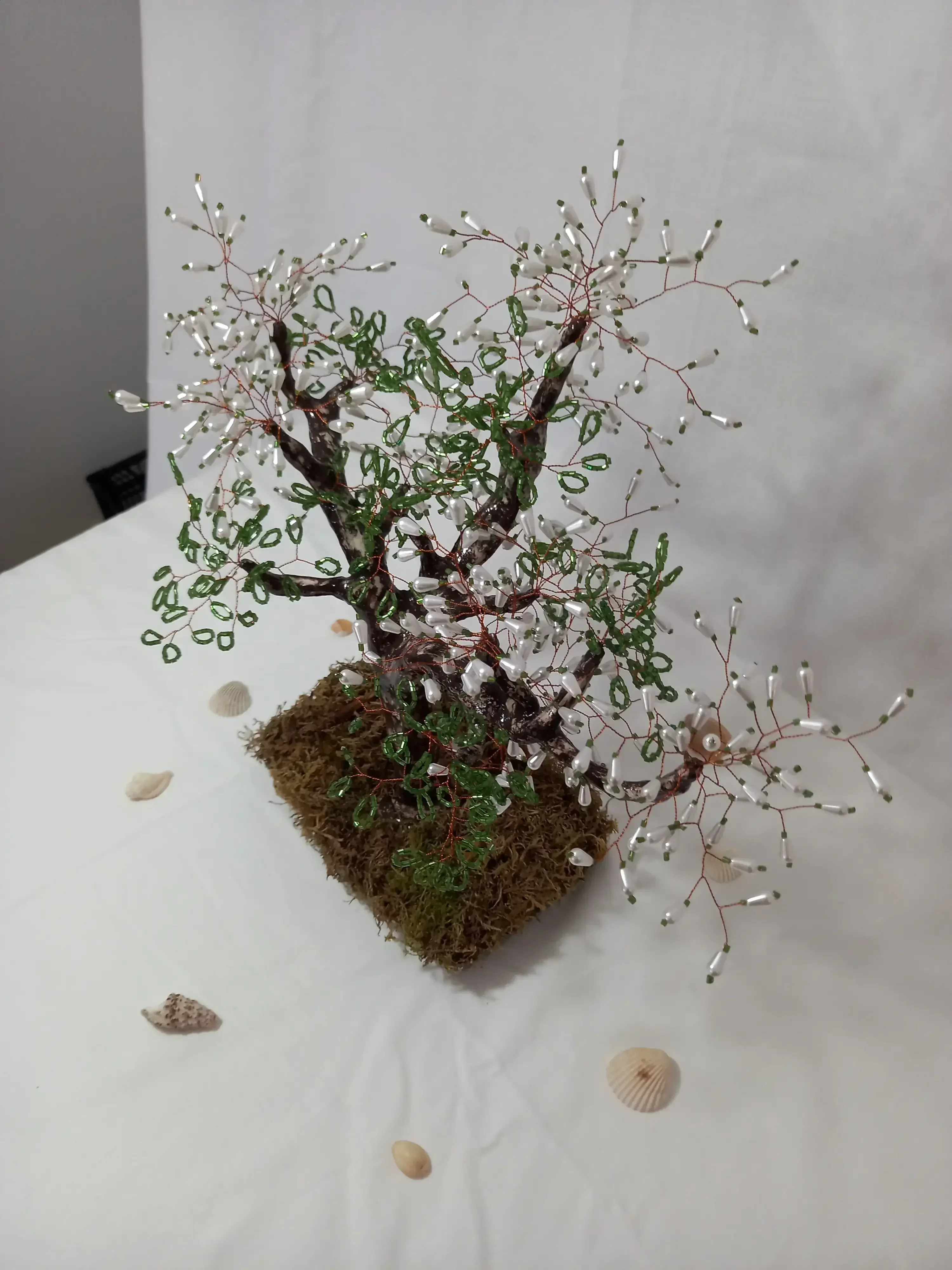 Bonsai La Esperanza  2
