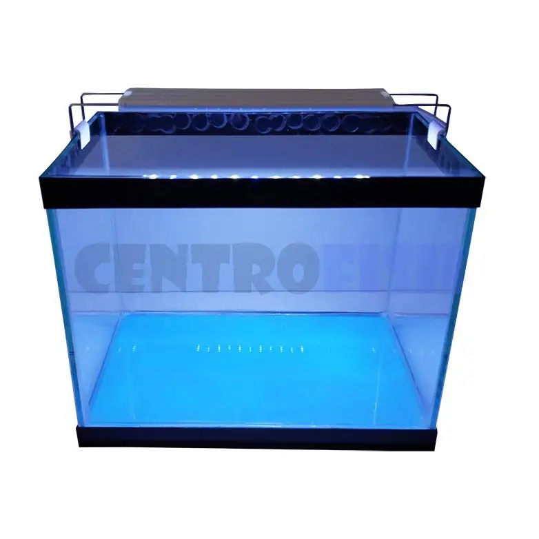 COMBO ACUARIO 30LTS COD. 1168 2