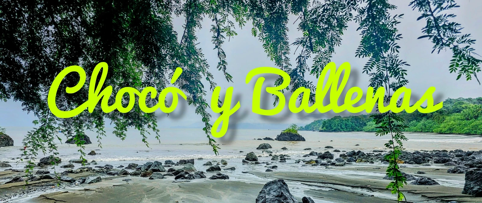 AVISTAMIENTO DE BALLENAS EN NUQUÍ CHOCÓ 2
