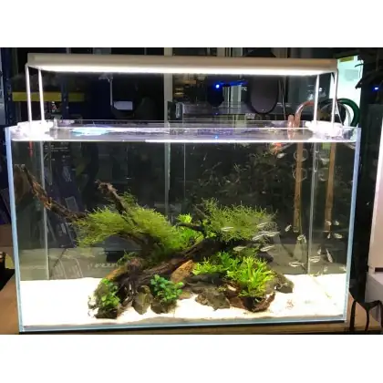 LAMPARA AQUANICE  4 COLORES DE 60 A 80 cm
