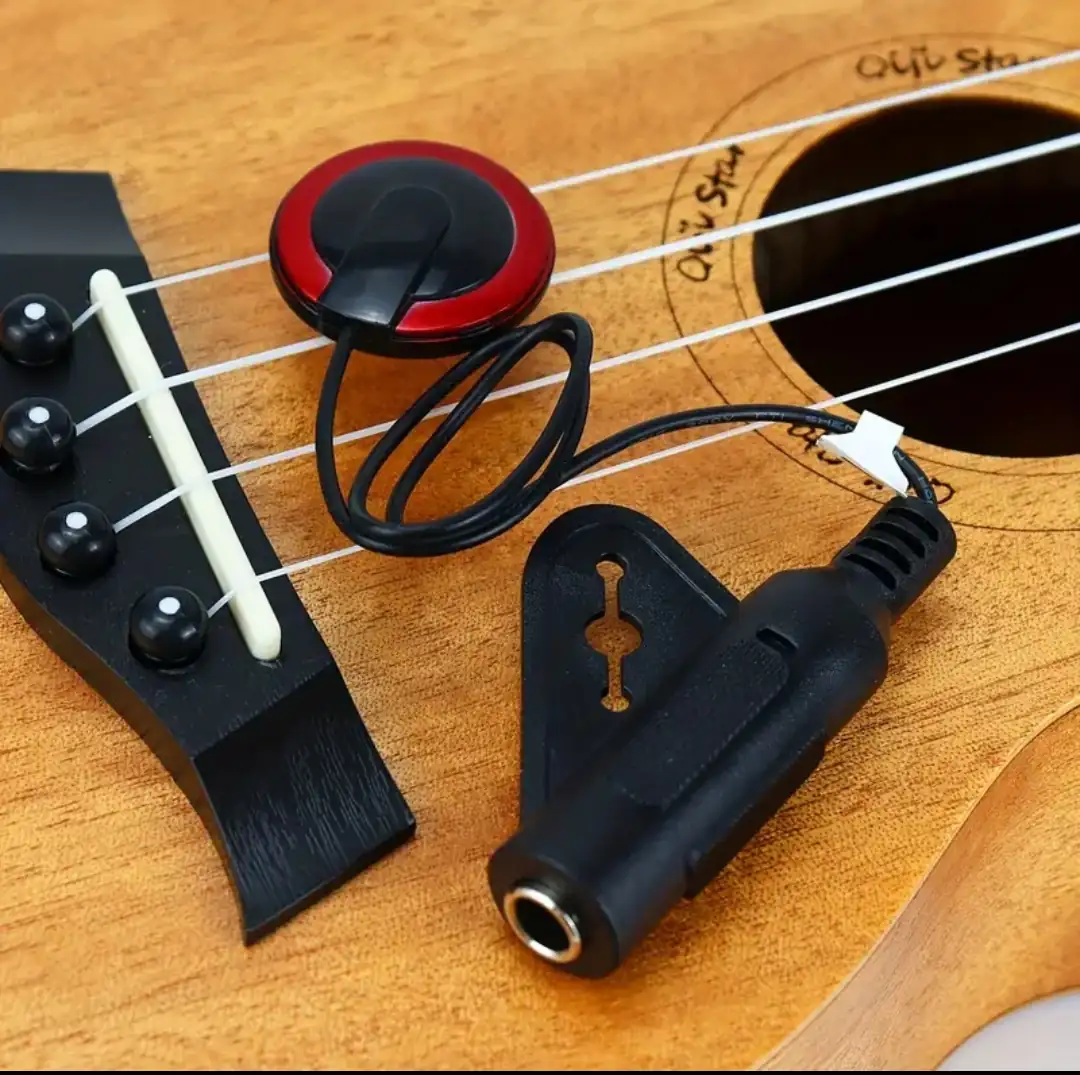 Pastilla Micrófono Guitarra Acustica  2