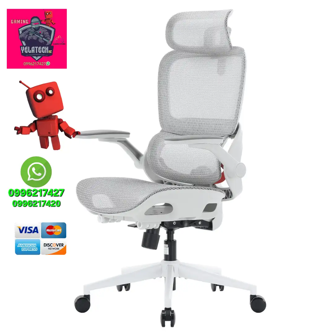 Silla ergonomíca 102