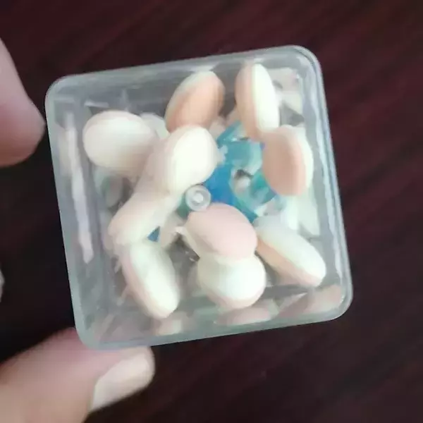 Apricador de 2 puntas 2