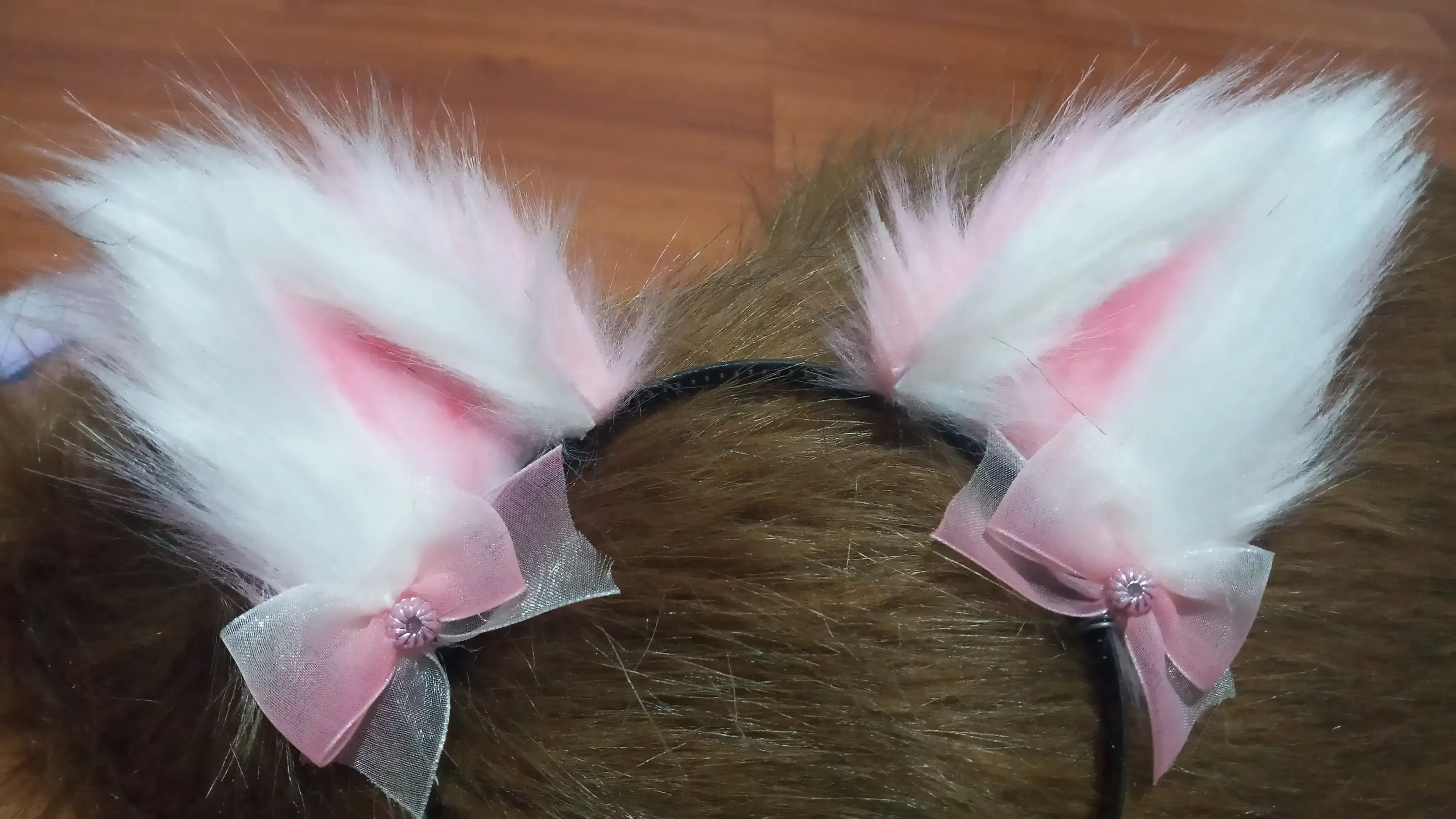 Orejas gato  2