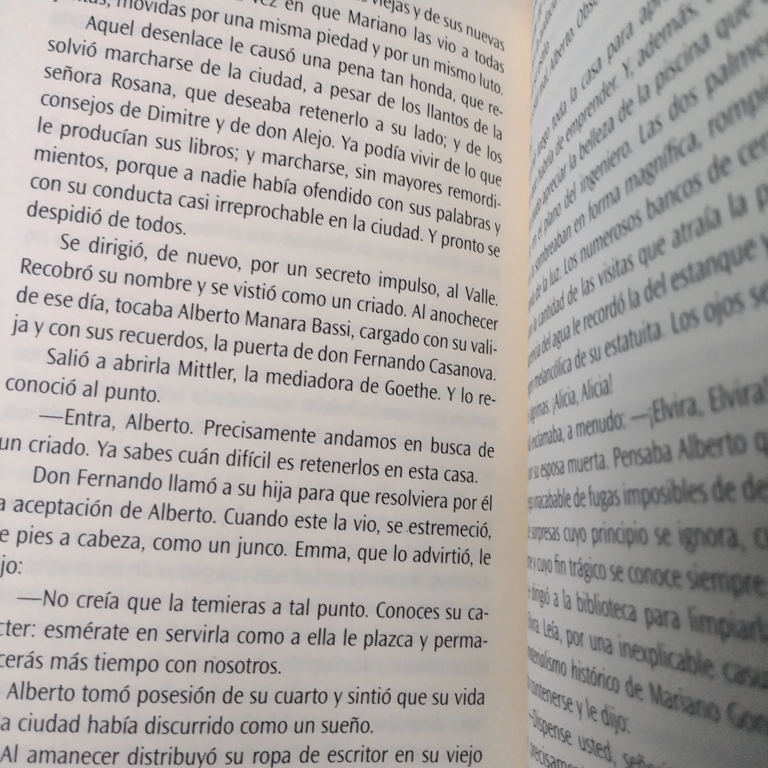 Elvira , Moisés vincenzi usado 2