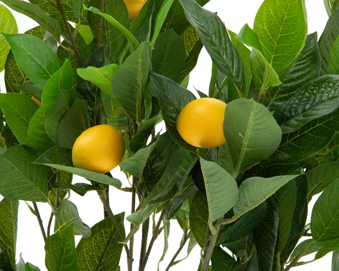 Planta Limonero 110cm Artificial  2