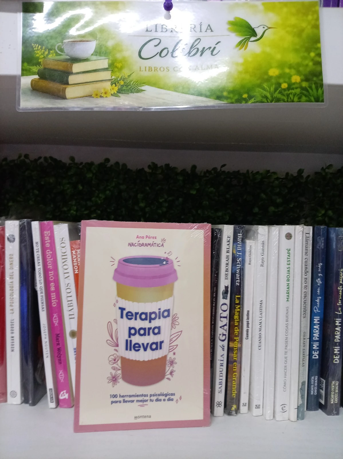 Terapia para llevar 