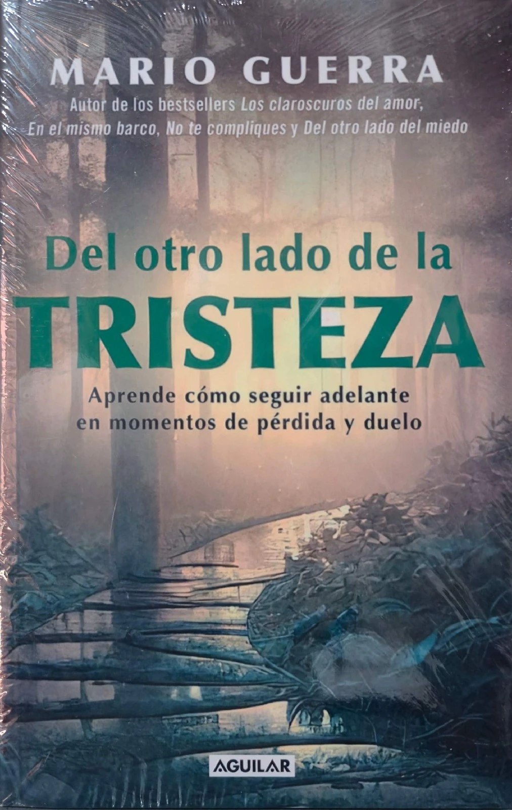 DEL OTRO LADO DE LA TRISTEZA 