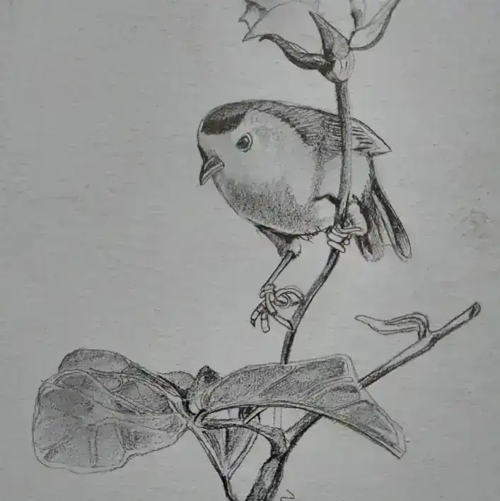 " PAJARITO"