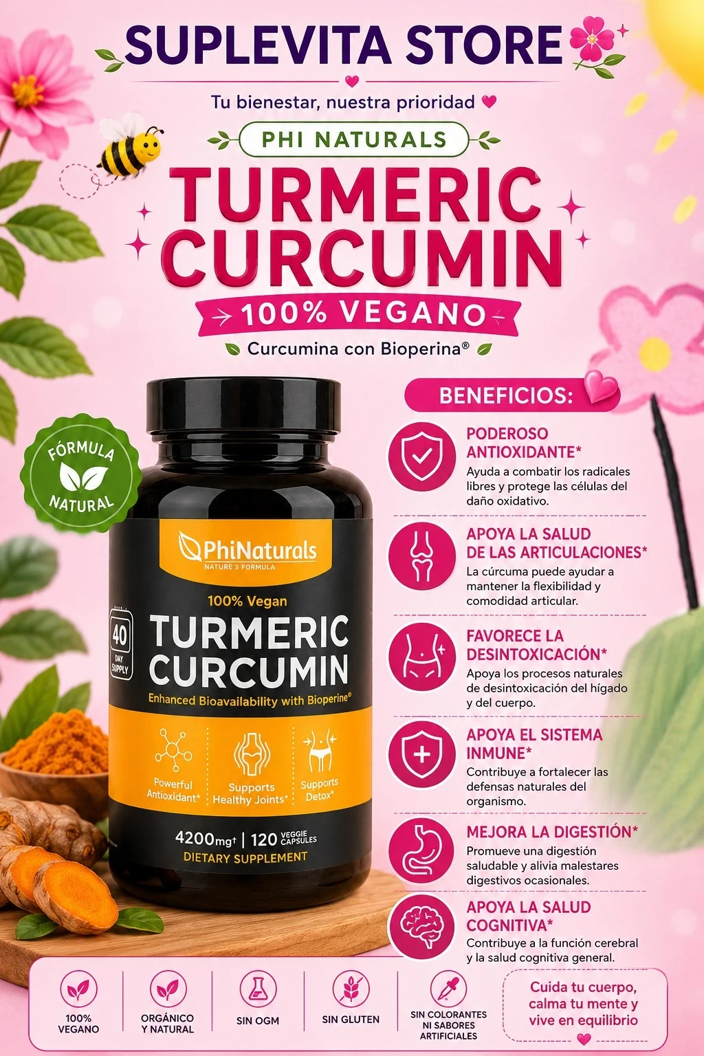 PhiNaturals Turmeric Curcumin