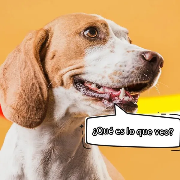 Suplementos Alimenticios