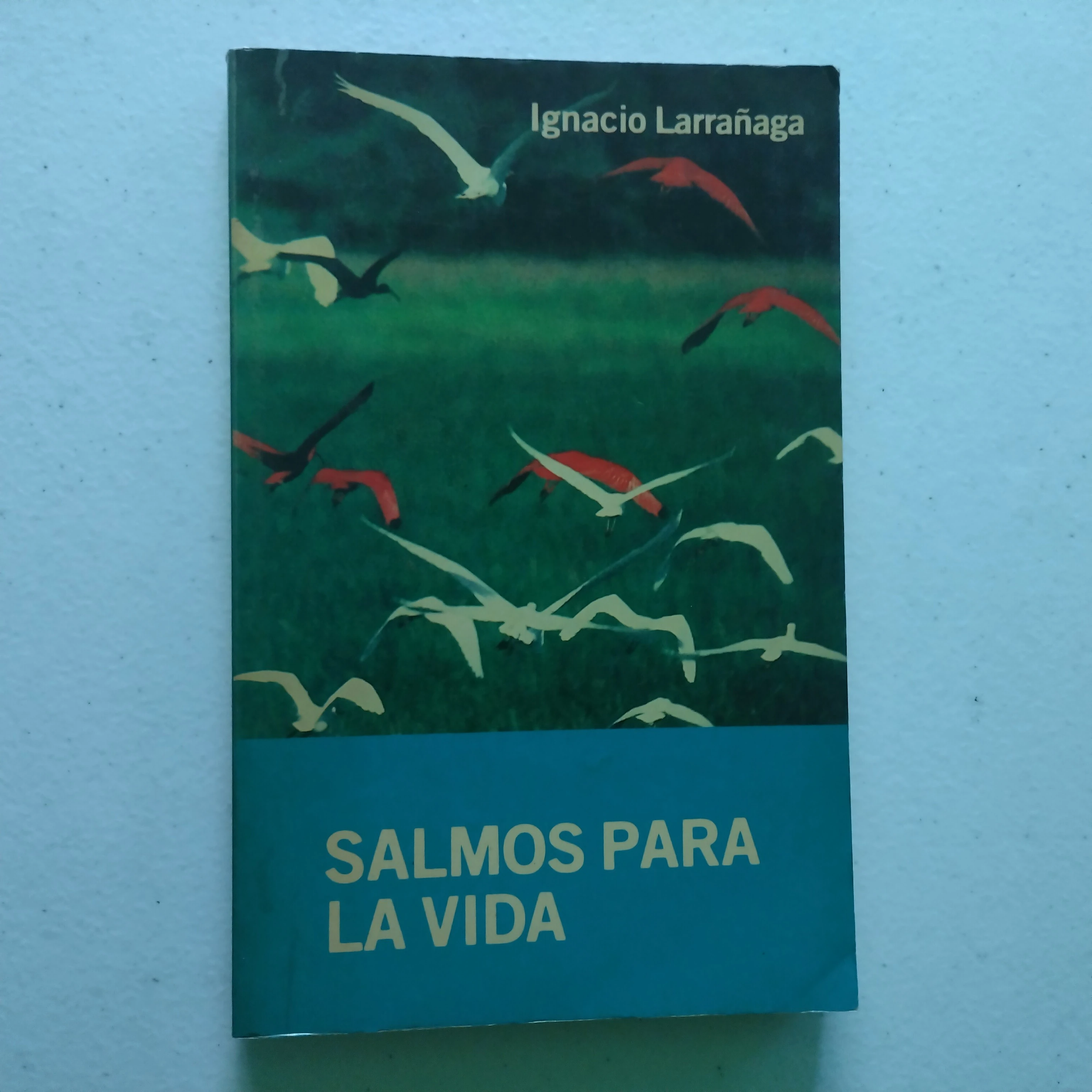 Salmos para la vida, Ignacio Larrañaga, usado