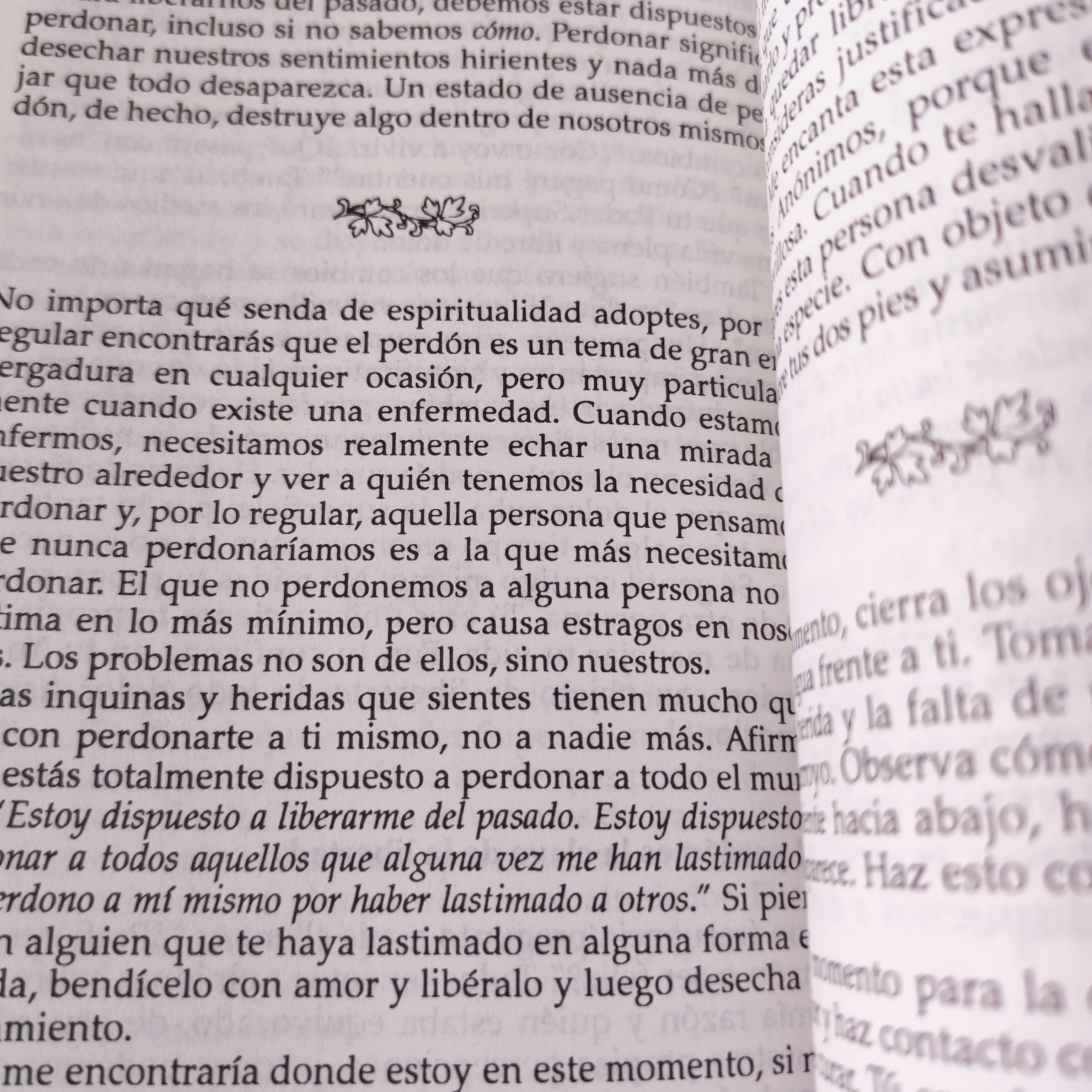 El poder está dentro de ti, Louise L. Hall, usado  4
