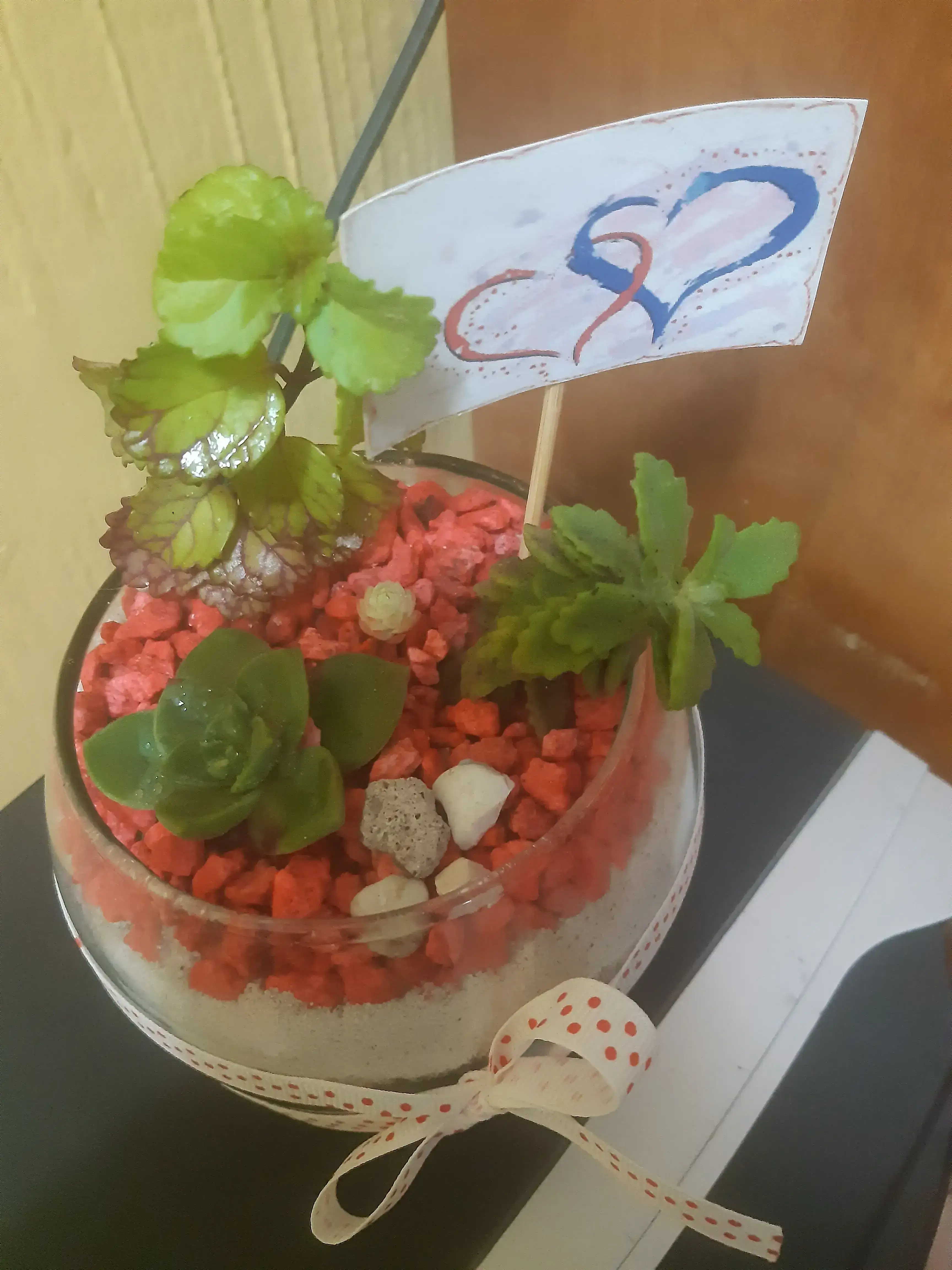 Mini jardin pecera 