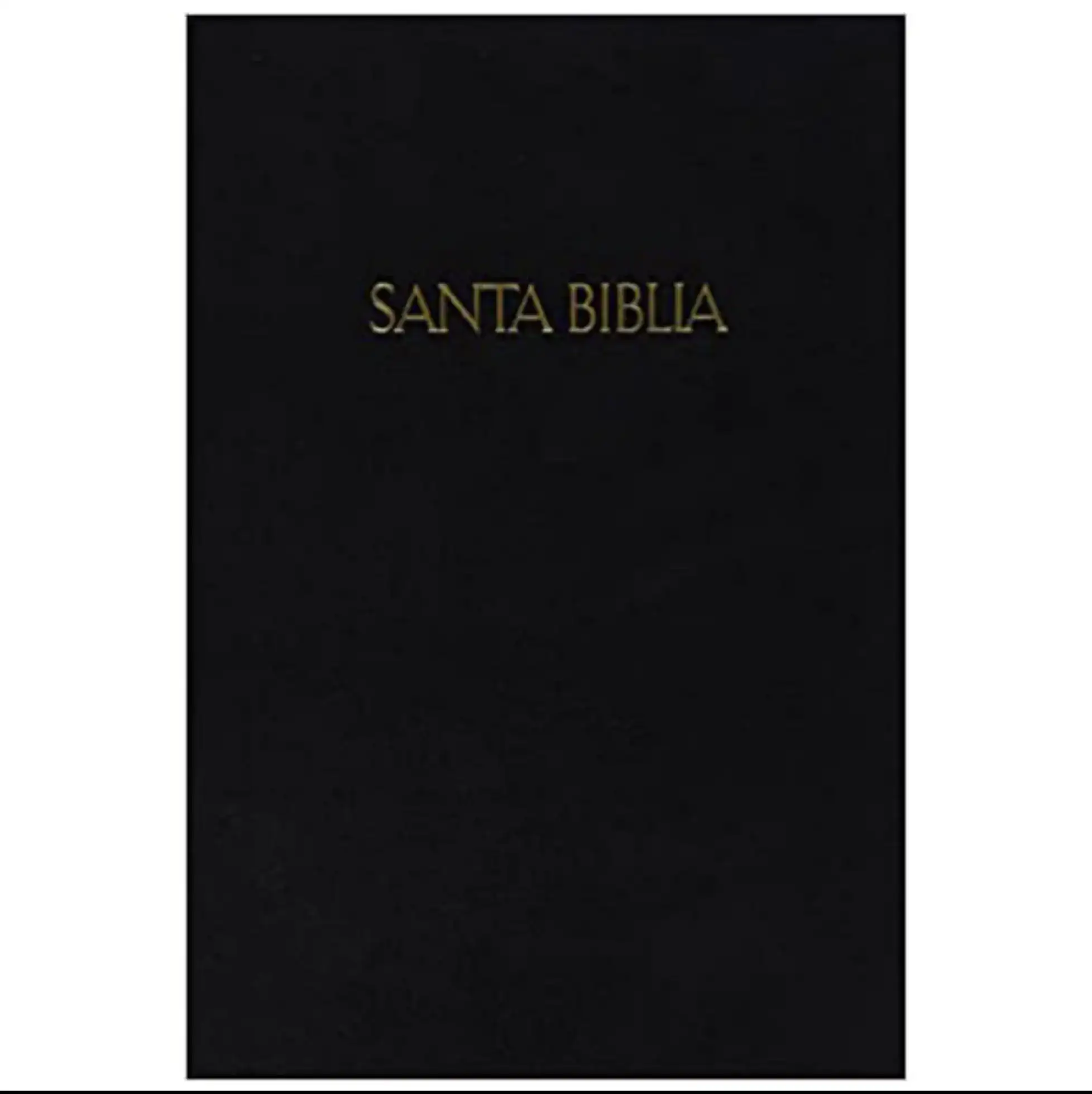 Santa Biblia LG Manual RVR60 2